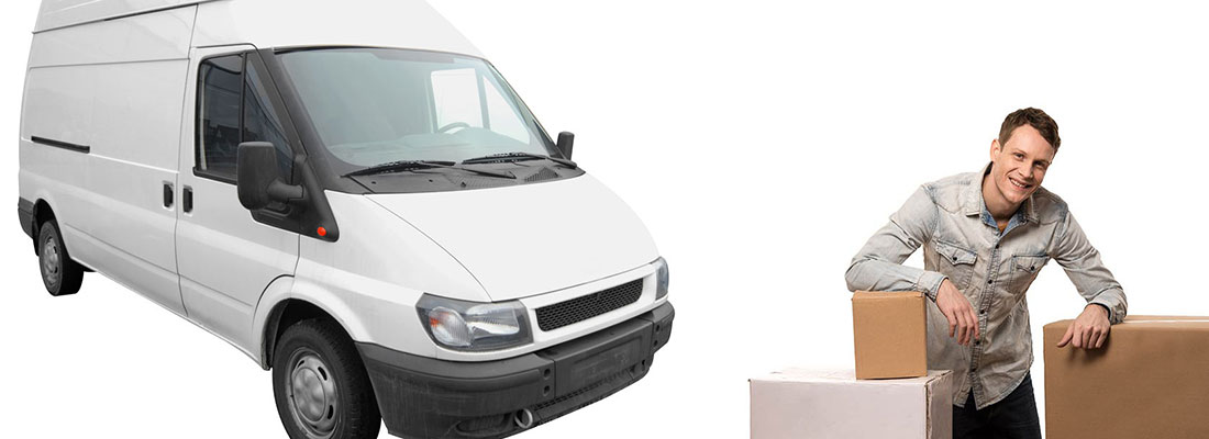 House Clearance Bodmin man and van image